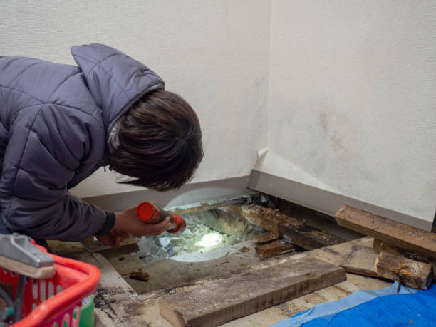 Best Air Quality Testing for Mold Spores  in Flower Mound, TX