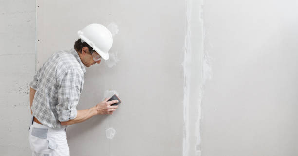 Best Mold-Related Health Consultation  in Flower Mound, TX