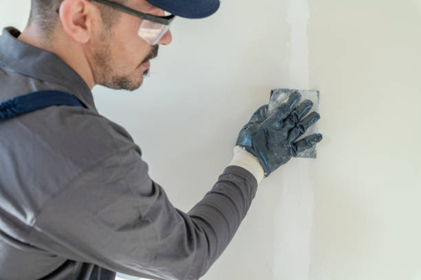 Flower Mound, TX Mold Removal Company