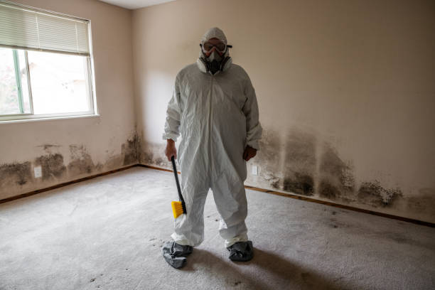 Best Asbestos and Lead Testing During Mold Inspection  in Flower Mound, TX