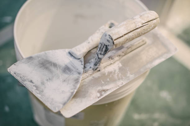 Best Mold Odor Removal Services  in Flower Mound, TX
