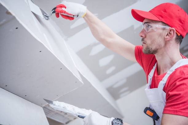 Dehumidification Services in Flower Mound, TX